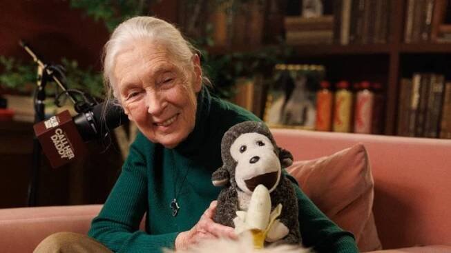 Zjistila, že jí maso a starají se o mláďata. Zemřela Jane Goodallová, expertka na primáty, kterou nikdo nenahradí