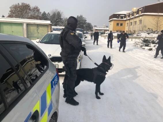 VIDEO: Zátah na ubytovny. Policisté zadrželi dvě osoby v celostátním pátrání