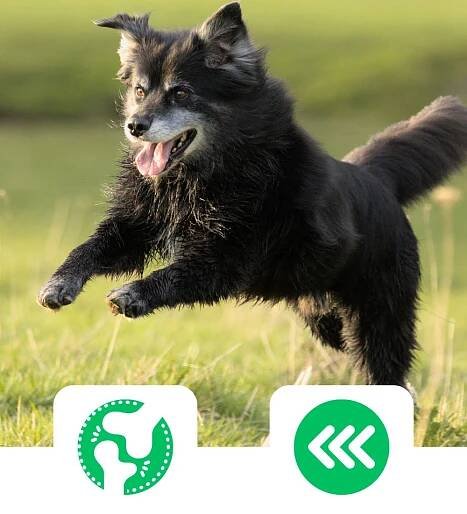 Twinky Í fejlesztve
