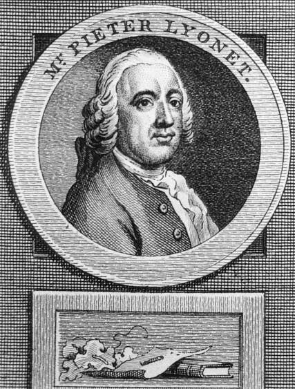 Pierre Lyonnet