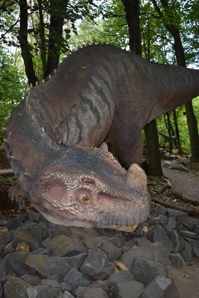 DinoPark Vyškov na Moravě | Slevomat.cz