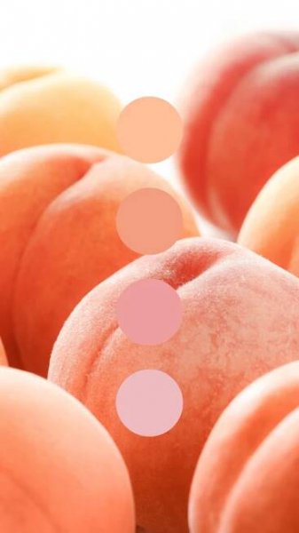 Closeup of peaches with swatch palette overlay