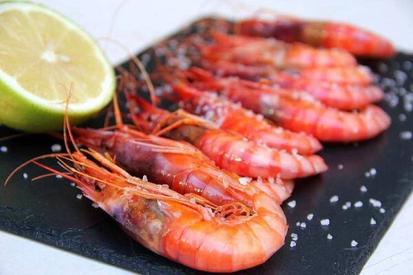 MARISCOS EL RUSO. Mariscos y pescados todo el ao. Tu pescadería en Villena.