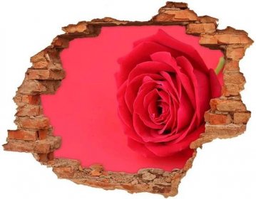 Wallmuralia Díra 3D fototapeta na stěnu Červená růže 90x70 cm
