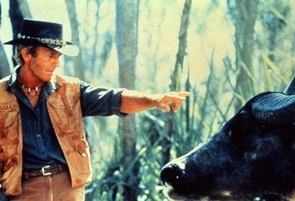 Krokodýl Dundee v Los Angeles je australsko-americká filmová komedie z roku 2001. Režisérem filmu je Simon Wincer. Hlavní role ve filmu ztvárnili Paul Hogan, Linda Kozlowski, Jere Burns, Jonathan Banks a Alec Wilson. Paul Hogan řekl, že inspiraci k zápletce dostal během prohlídky Litomyšle roku 1993.