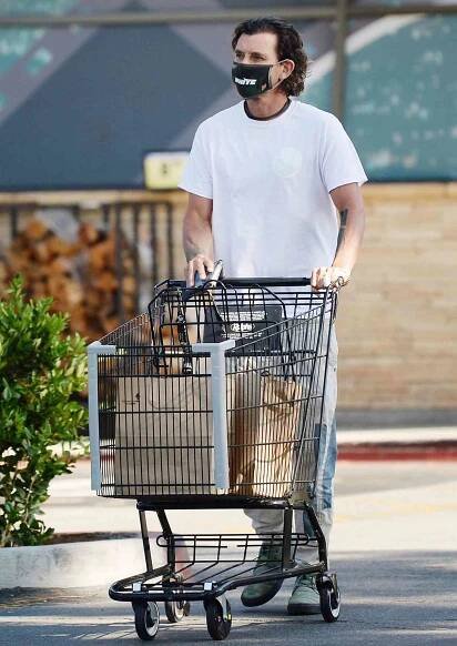 gavin rossdale
