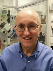 David Rees (organic chemist)