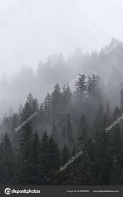 Fog Mountain Forest Stock Photo by ©NicholasSteven 249644682