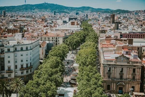 How to hire a city leader - Topos Magazine