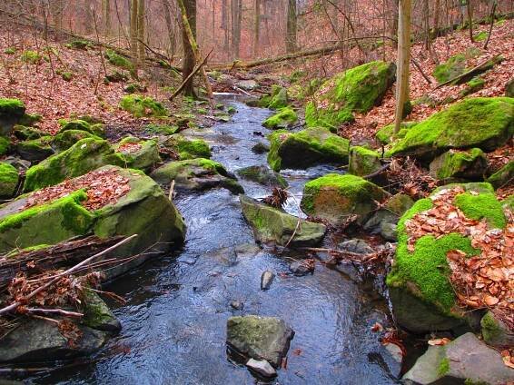 Fotogalerie Lovětínský potok v předjaří - Lovětínský potok (Rudov) - č. 2361137 | Turistika.cz