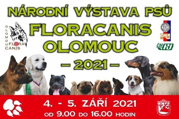 NÁRODNÍ VÝSTAVA PSŮ FLORACANIS OLOMOUC 2021