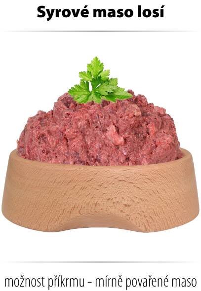 Časté nemoci psů • Jak mít zdravého psa - Baron
