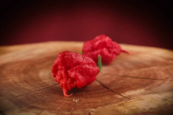 Carolina Reaper HP22B