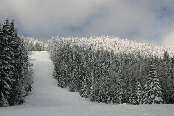 Ski areál Špičák