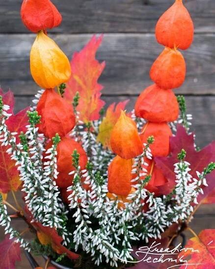 an orange and yellow plant with white flowers in a vase on a wooden table next to leaves