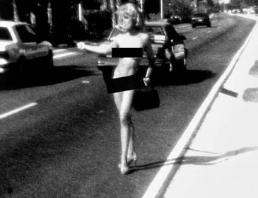 The most iconic shot from "Sex" depicted Madonna hitchhiking naked in Miami.