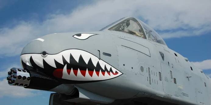 A-10 Thunderbolt a jeho ničivý kanon