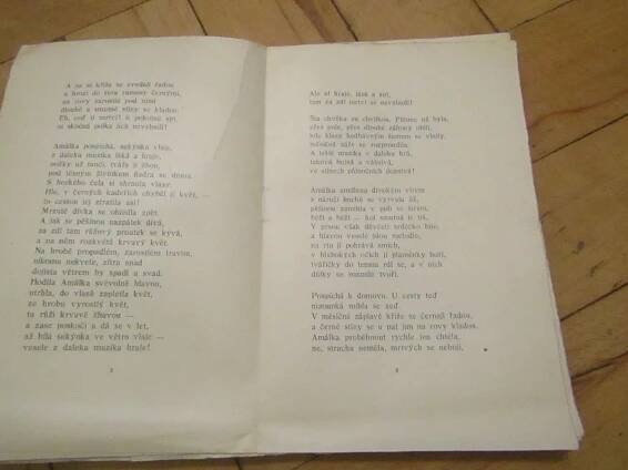 IMG-4855