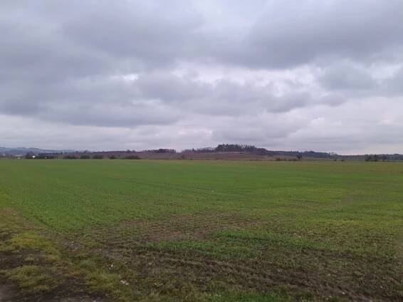 Pozemky Černčice, okres Náchod a plynová zbraň