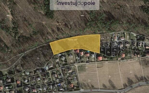 Louky, Hornická, Nový Jáchymov, 4 501 m²