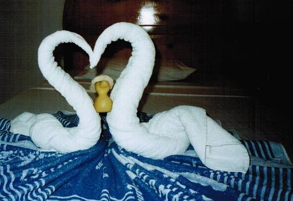 Egypt – duck-links.com