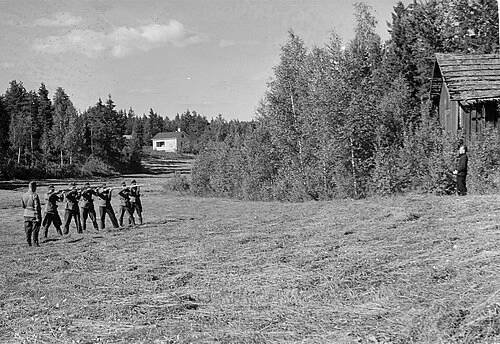 Trest smrti ve Finsku – Wikipedie