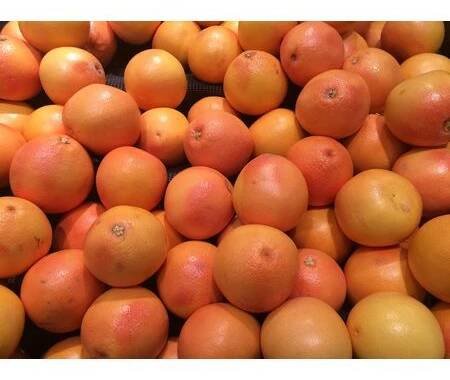 Grapefruit jádra tinktura