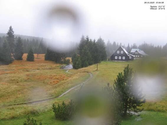 Jizerka - rašeliniště