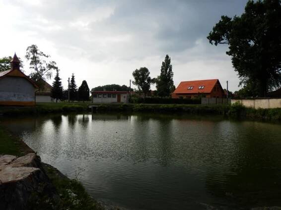 Mnetěš - Živéobce.cz