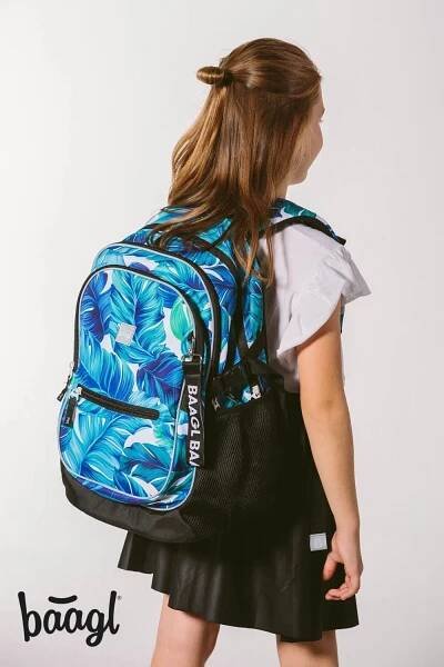 BAAGL Core 25 l