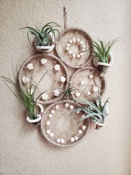 DIY Air Plant Wall Decor with Beads and Pearls