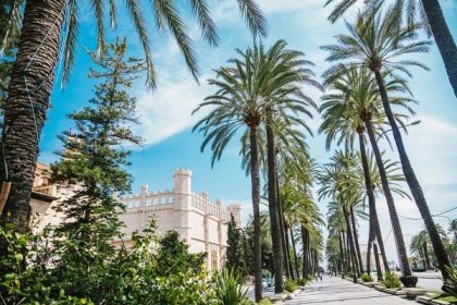 Mallorca Insider Guides: let the Lucas Fox team show you their tips and advice for when visiting this beautiful island