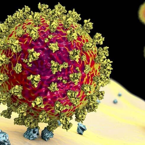 Coronavirus variants: Facts about omicron, delta and other SARS-CoV-2 mutants