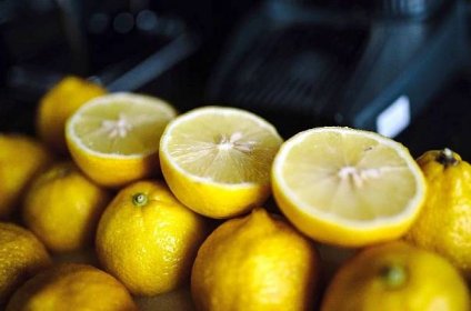Jak vypěstovat citronovník ze semen | Chalupáři-Zahrádkáři