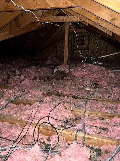 Rodent Proofing 22