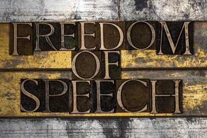 Defending Free Speech in the COVID-19 Era: Challenges and Successes