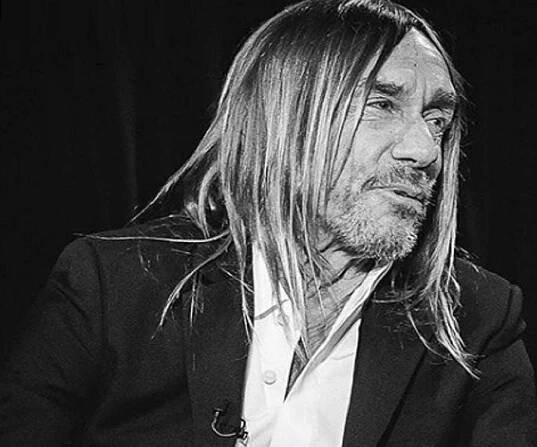 Iggy Pop Biography - Facts, Childhood, Family Life & Achievements