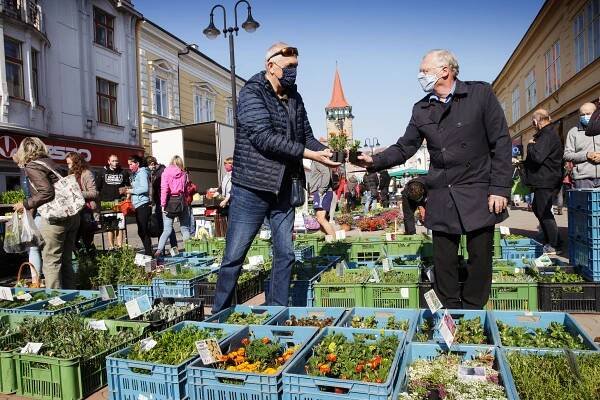 Farmářské trhy v Jičíně | Jaromír Dědeček