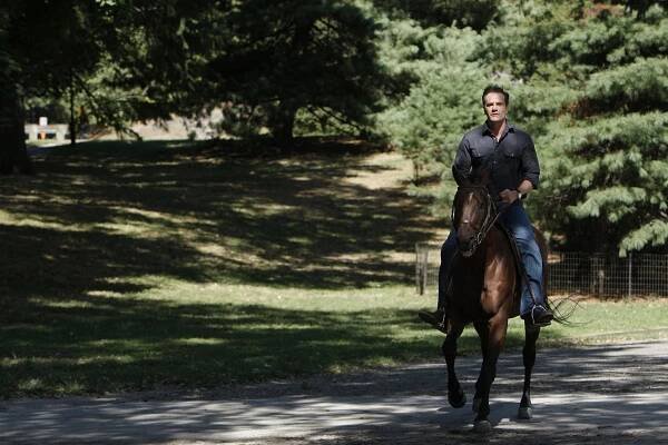 Tim DeKay