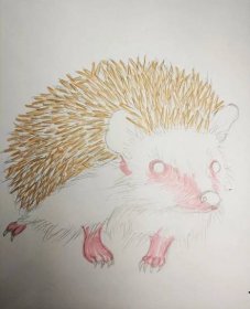 Jak nakreslit ježka tužkou - snadné pokyny krok za krokem pro děti
