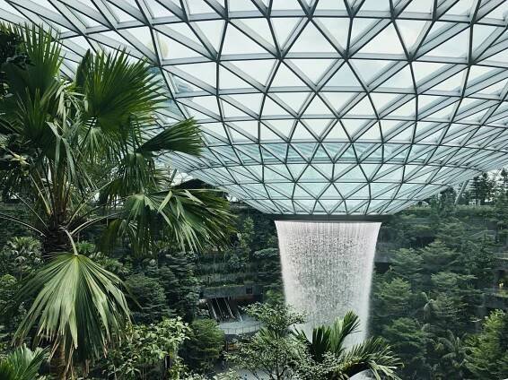Džungle i obří vodopád. Letiště v Singapuru se mění v mýtickou dimenzi