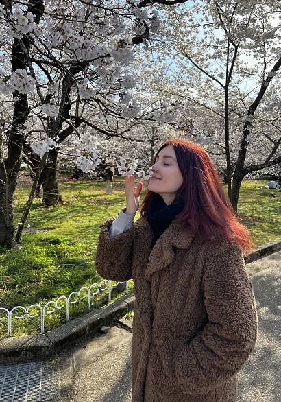 Das Bewundern der Kirschblüten (Sakura) nennt man in Japan Hanami. Zwischen Ende März und Anfang Mai blühen die Kirschbäume und in den Parks versammelt man sich auf Plastikdecken und genießt Leckereien in mitgebrachten Bento-Boxen, um diese besondere Zeit zu feiern.