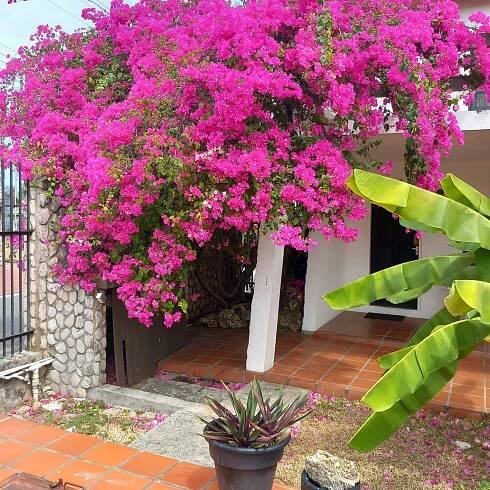 SANDY POINT VILLAGE - Prices & Hotel Reviews (Tobago/Crown Point)