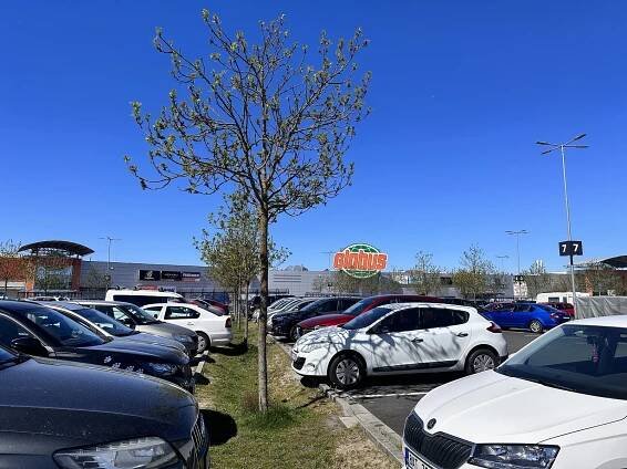 Parkoviště u budějovického Globusu je dál bez závor. Jejich spuštění se odkládá
