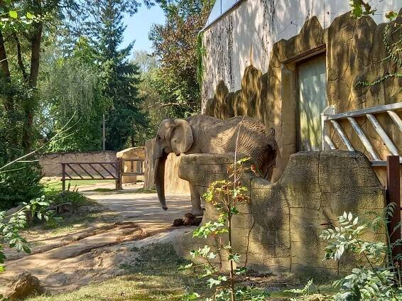 Výlet do ZOO – ÚSS Miličeves