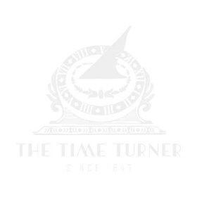 Time Turner Logo-Whit-1