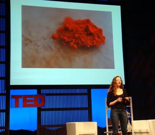 talks — KATE NICHOLS