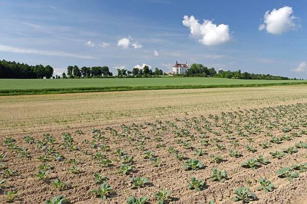 Rok 2017 – Farma u Miklasů