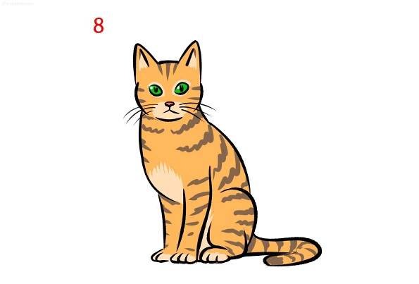 Cat drawing - Step by Step