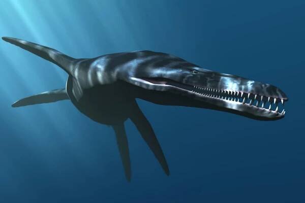 Pliosaurus byl houževnatý lovec